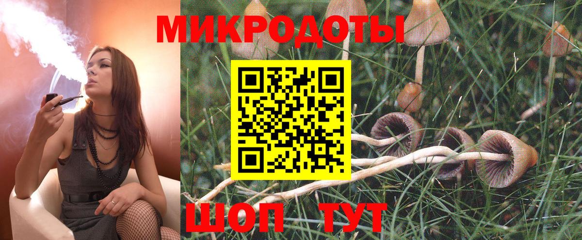 Кашира  Псилоцибиновые грибы Cubensis  Вход с VPN 