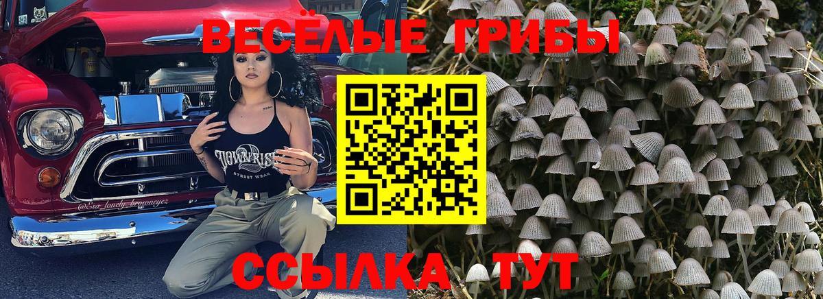 Галлюциногенные грибы мицелий Кашира
